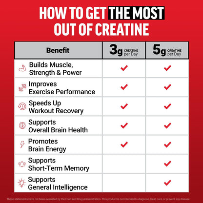 Creatine Monohydrate Gummies, NSF Certified, 5G Dose for Men & Women to Support Muscle, Strength, Recovery, Cognitive Health & Memory, Packaging May Vary, Blue Raspberry, 150 Gummies